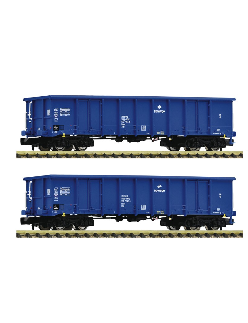 Set of 2 PKP Eanos wagons