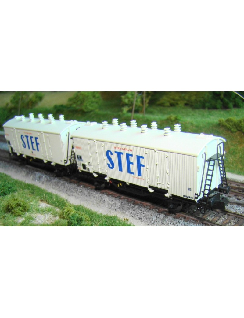 Set of 2 Hi/Hiv Standard wagons STEF